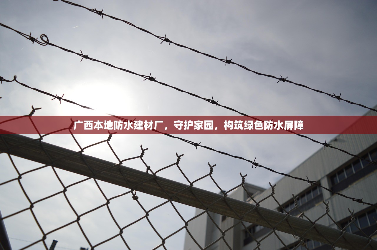 广西本地防水建材厂，守护家园，构筑绿色防水屏障