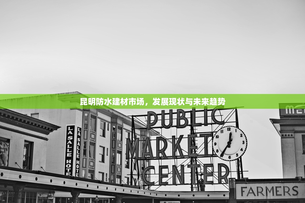 天津防水建筑建材批发价，市场分析与采购指南