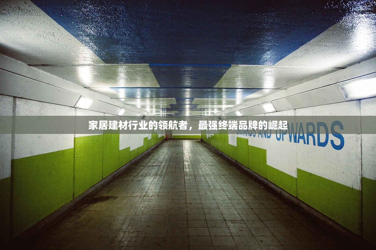 家居建材行业的领航者，最强终端品牌的崛起