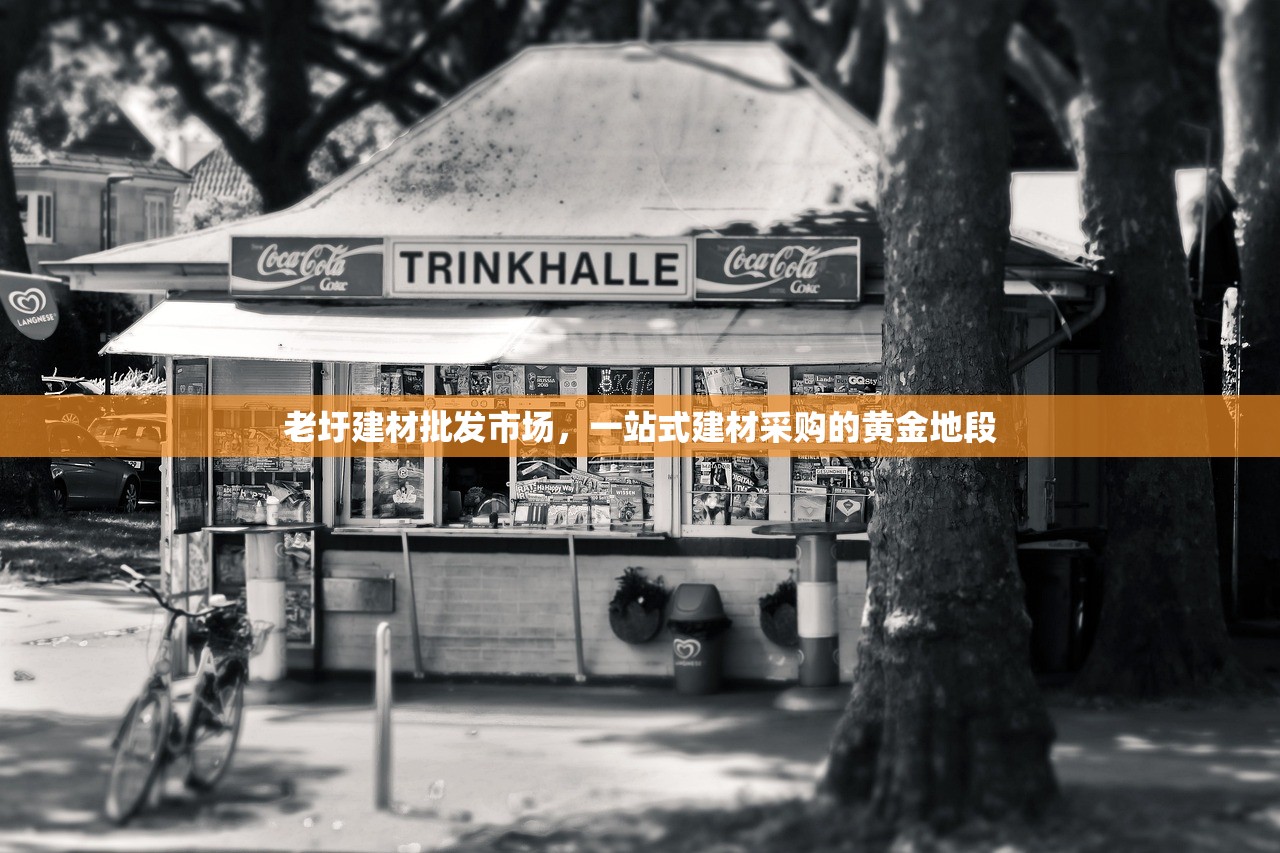 老圩建材批发市场，一站式建材采购的黄金地段