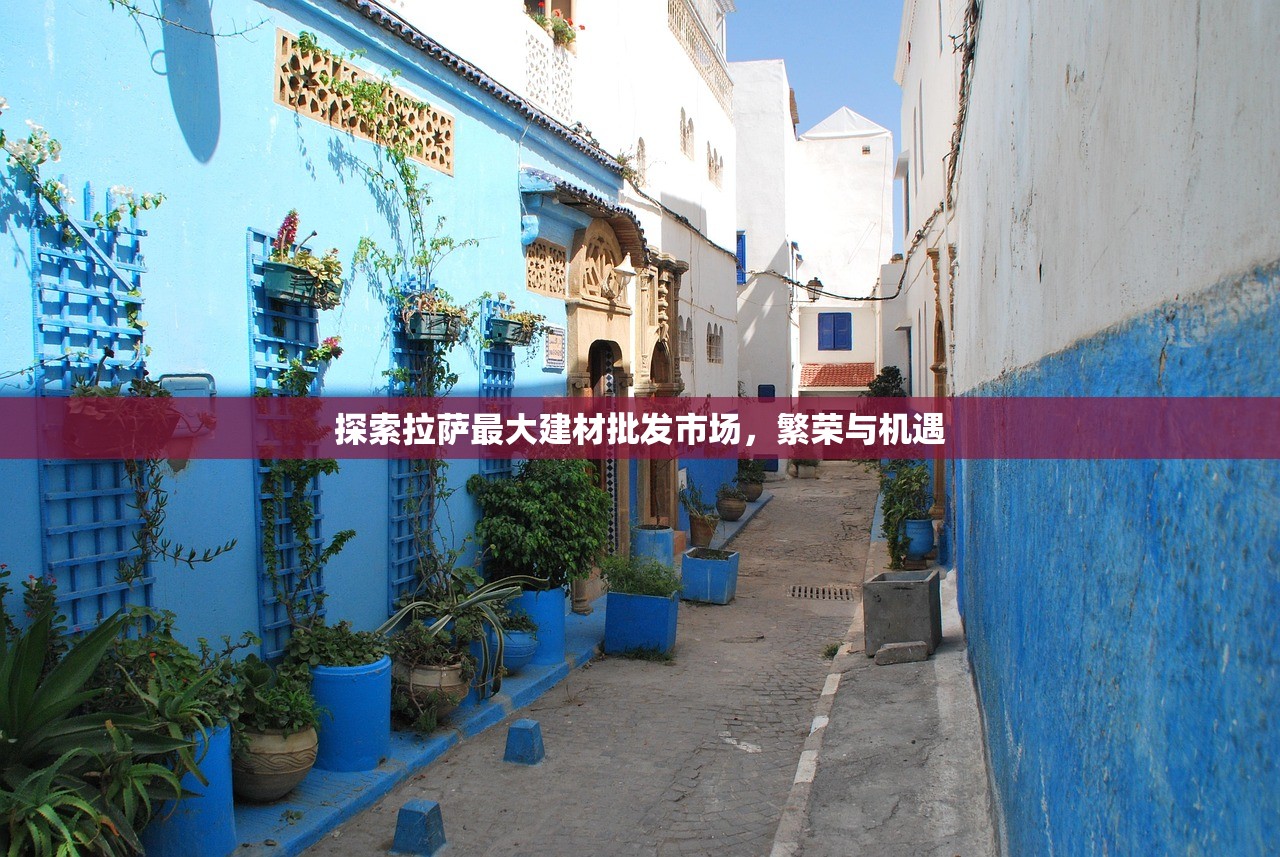 探索拉萨最大建材批发市场，繁荣与机遇