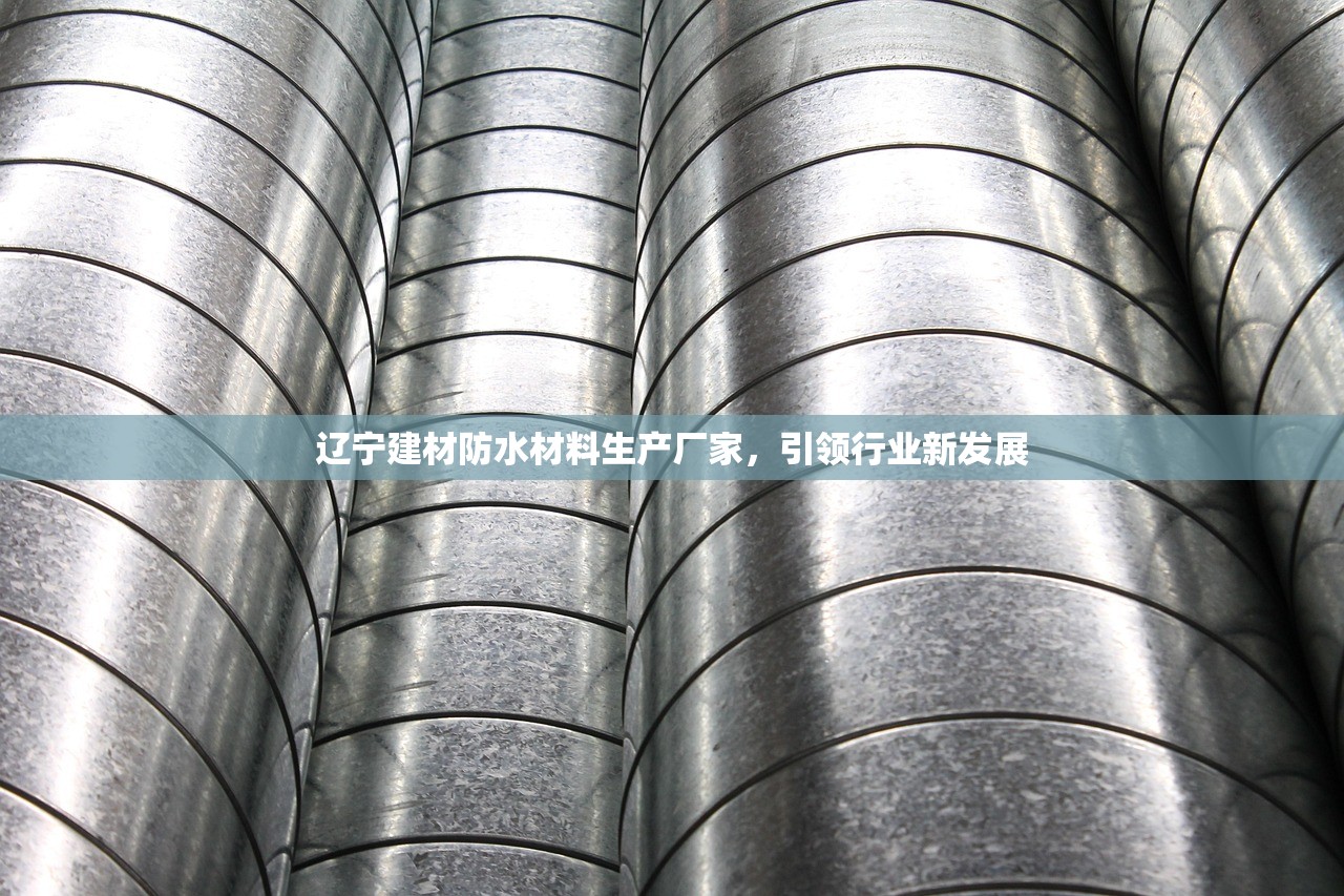 辽宁建材防水材料生产厂家，引领行业新发展