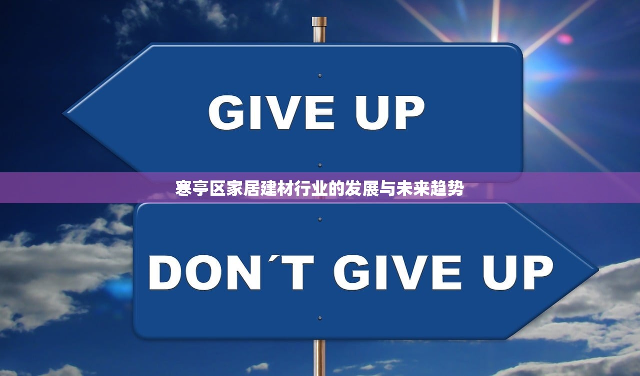 寒亭区家居建材行业的发展与未来趋势
