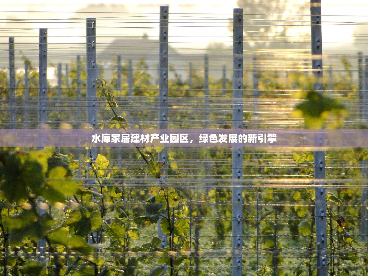水库家居建材产业园区，绿色发展的新引擎