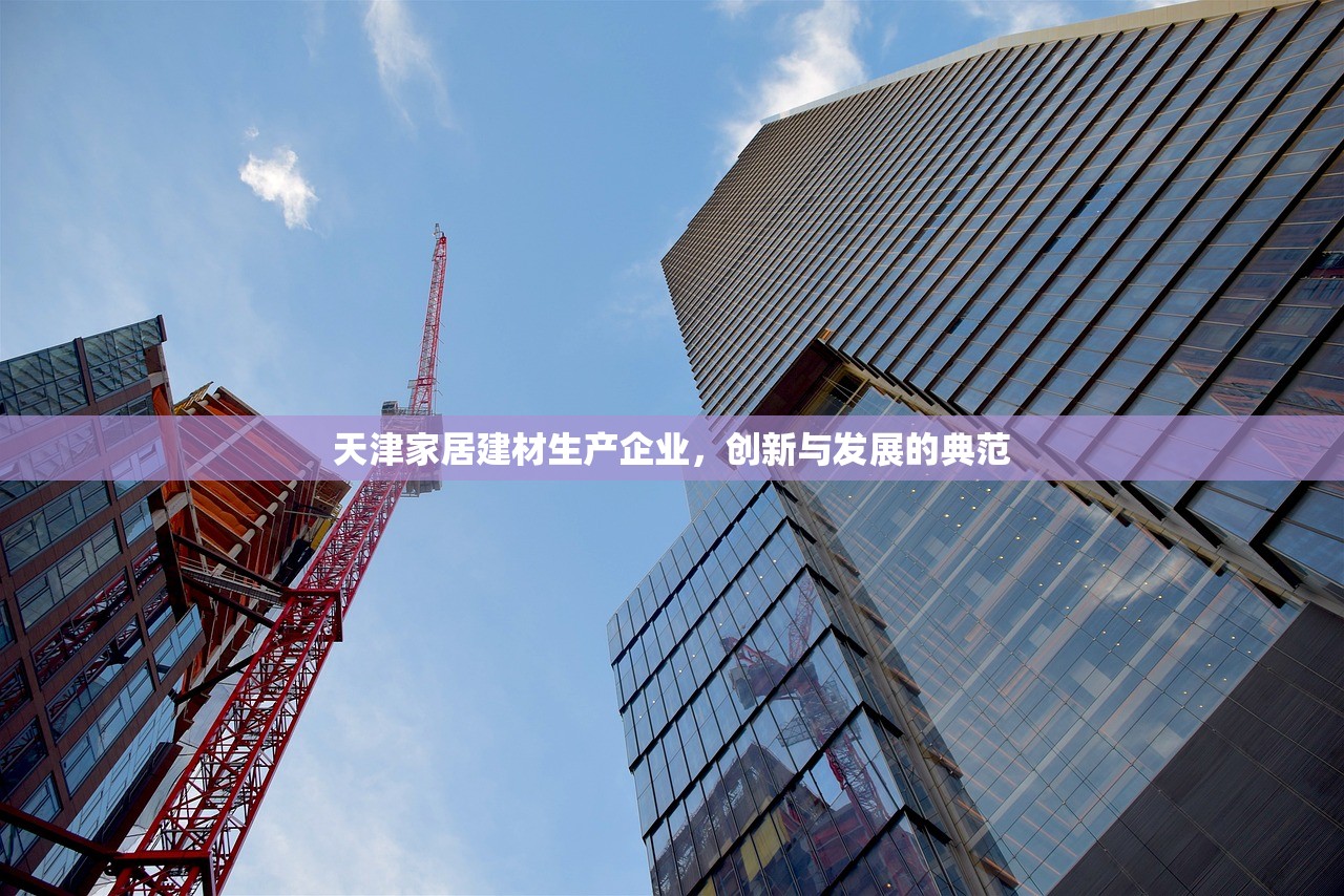 天津家居建材生产企业，创新与发展的典范
