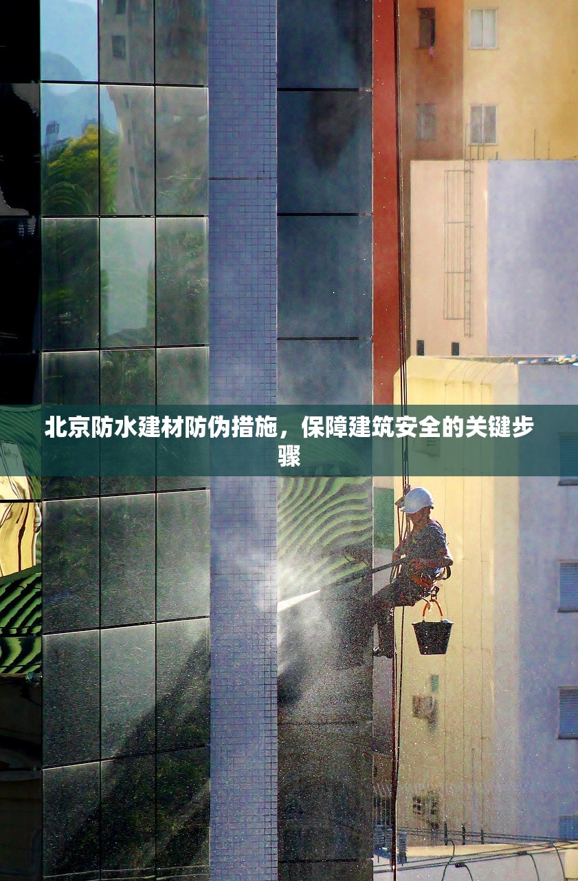 龙岗区防水建材销售部，专业服务与卓越品质的典范