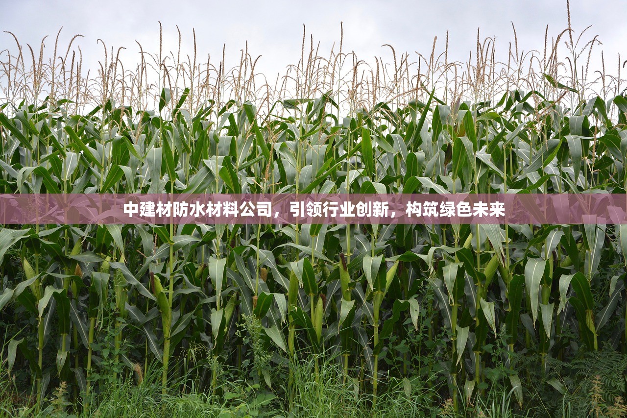 江门建材阀门批发市场，行业枢纽与商业机遇