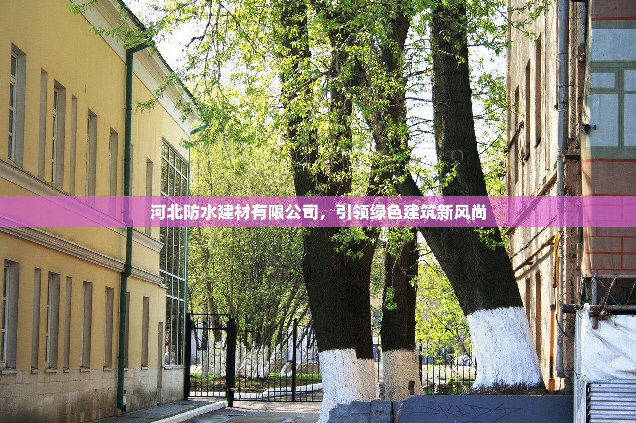 澄海建材批发城，一站式建材采购的领航者