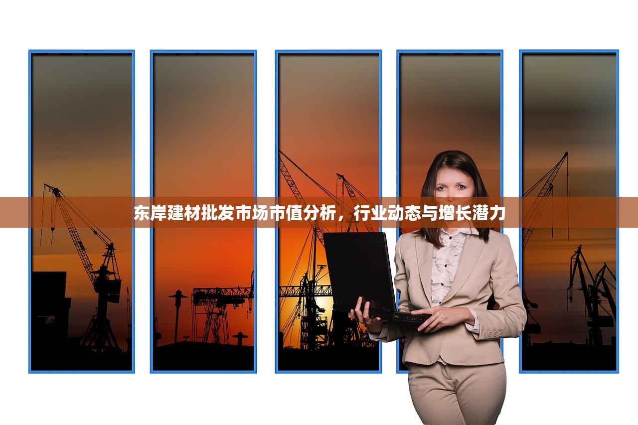 东岸建材批发市场市值分析，行业动态与增长潜力