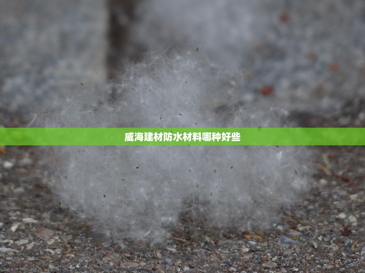 威海建材防水材料哪种好些