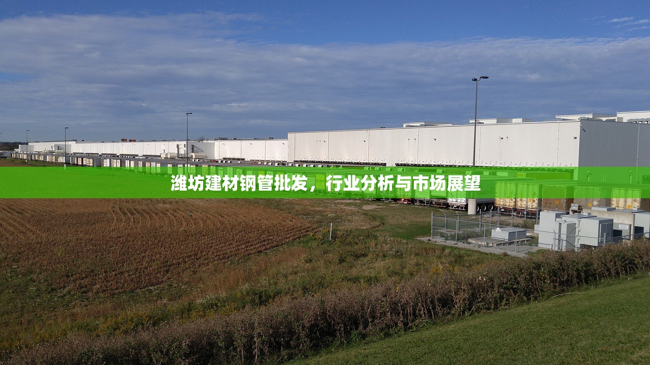 潍坊建材钢管批发，行业分析与市场展望
