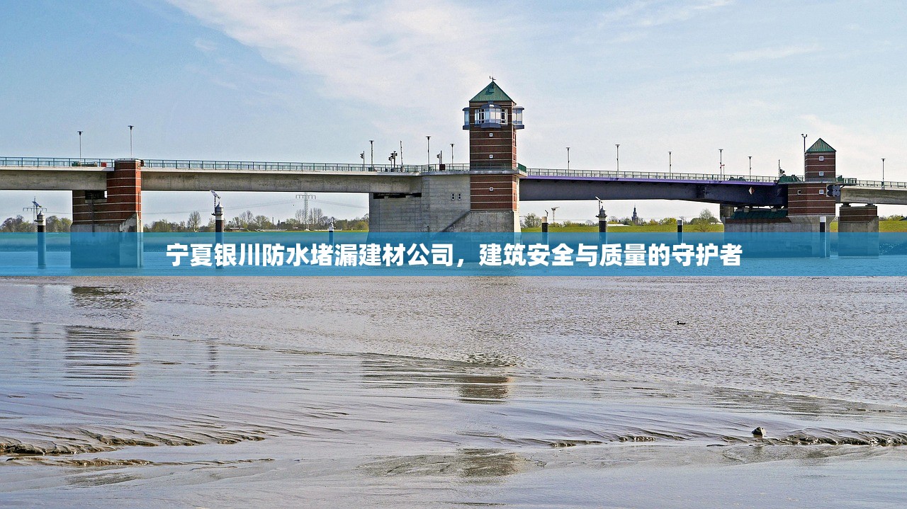 宁夏银川防水堵漏建材公司，建筑安全与质量的守护者