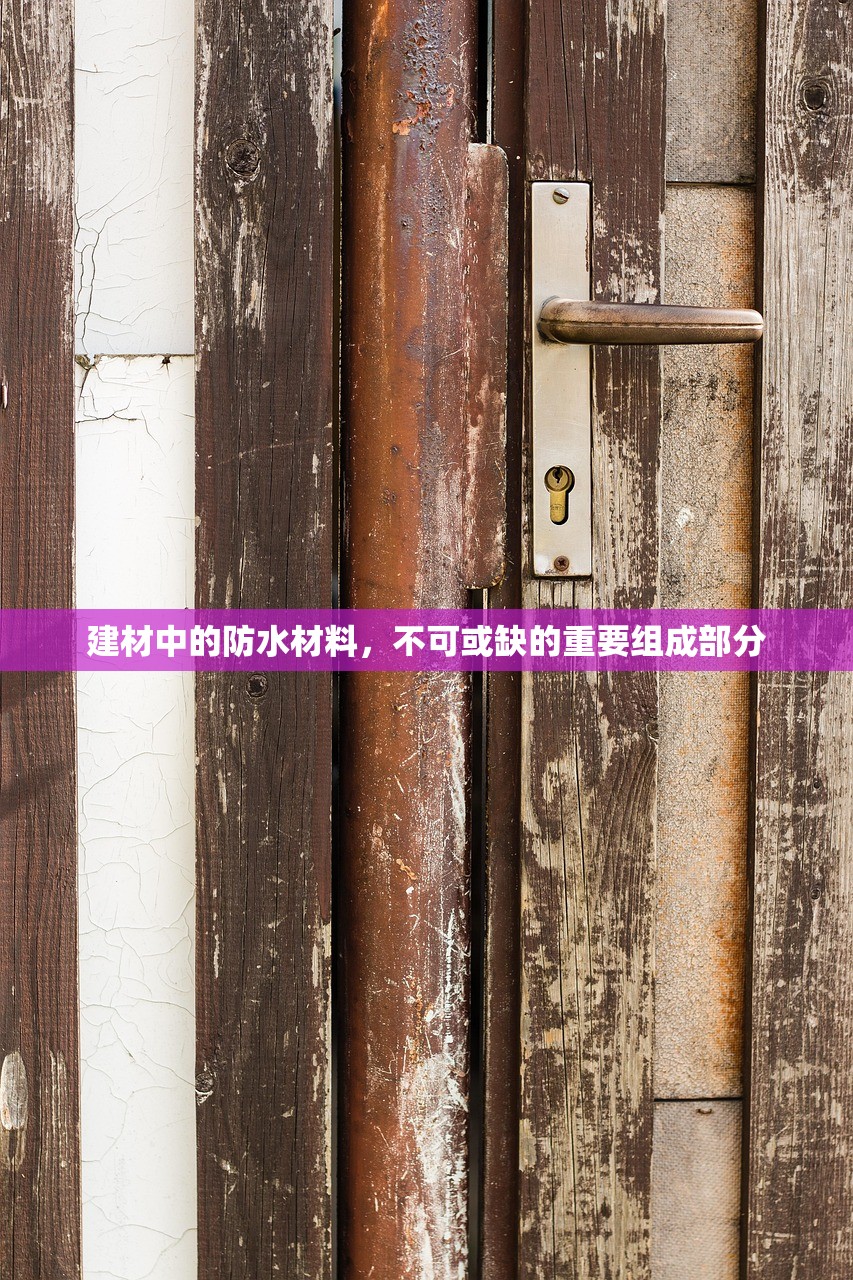 周嘉茂 第2页