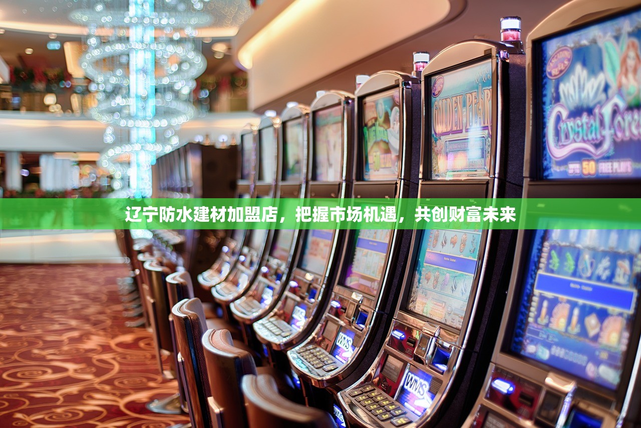 辽宁防水建材加盟店，把握市场机遇，共创财富未来