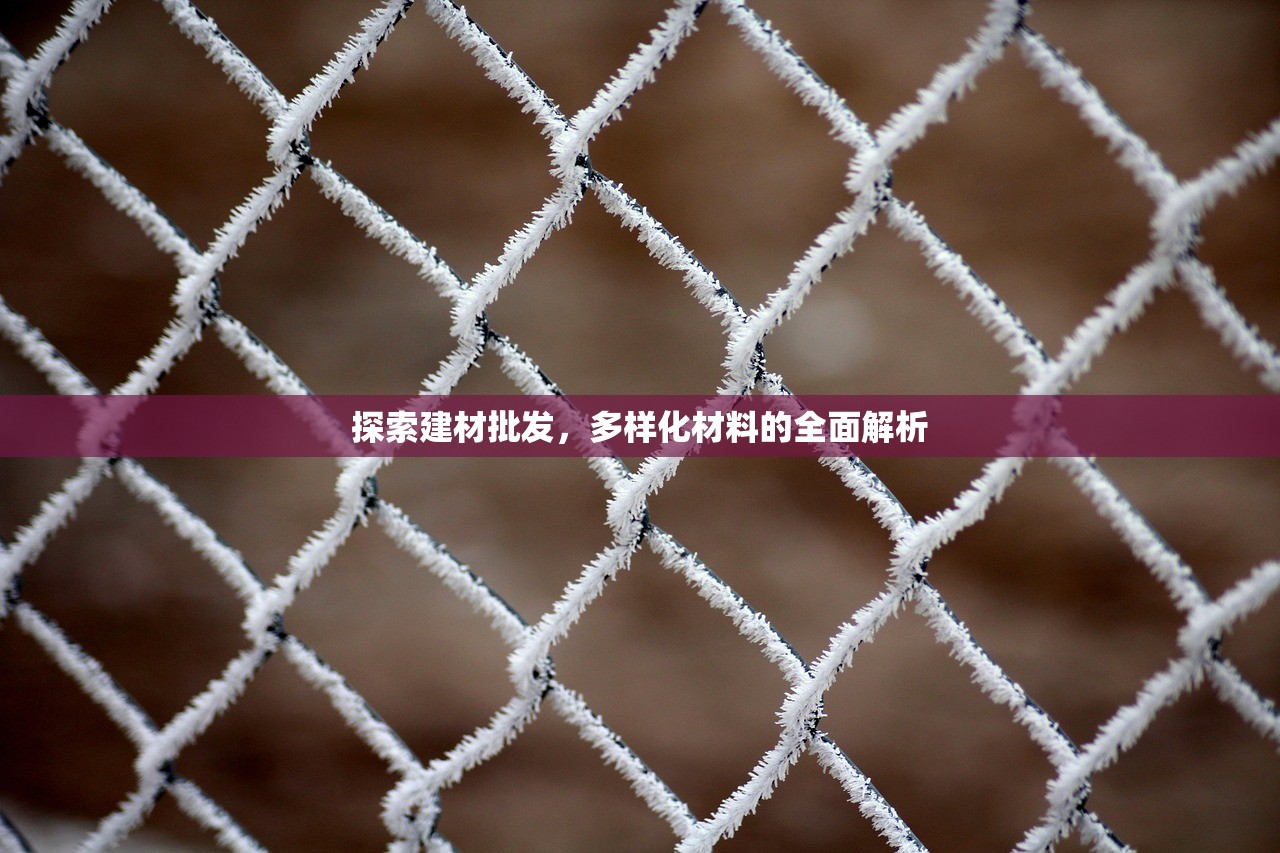 探索建材批发，多样化材料的全面解析