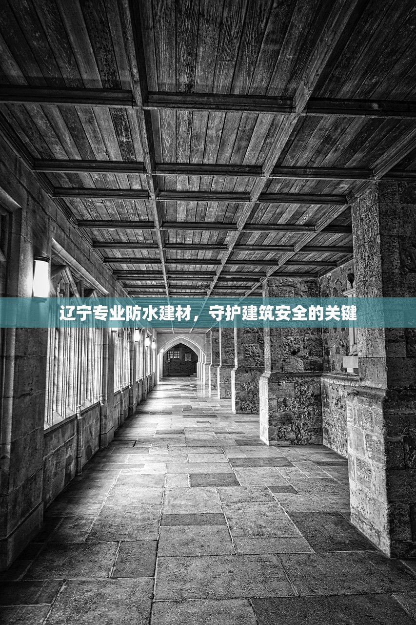 辽宁专业防水建材，守护建筑安全的关键