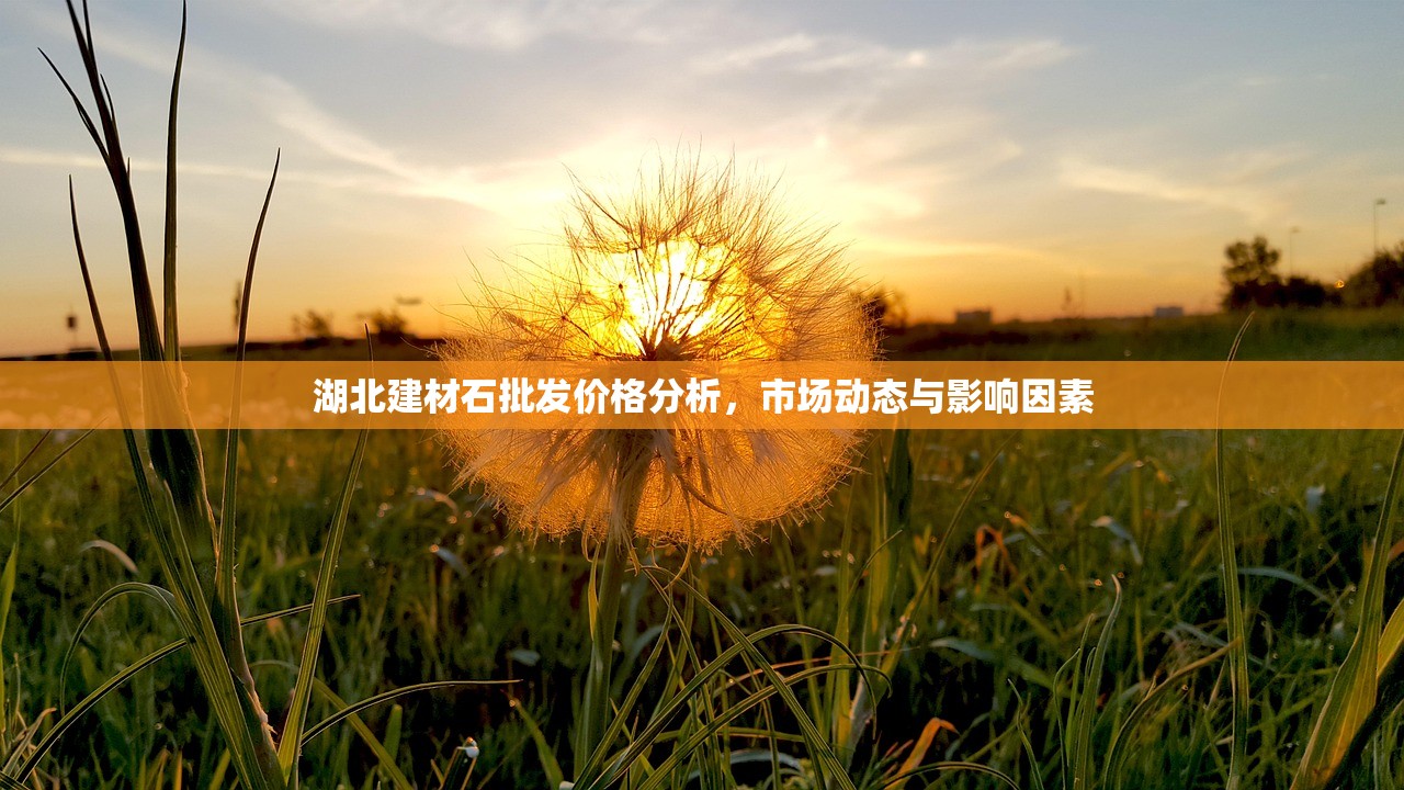 湖北建材石批发价格分析，市场动态与影响因素