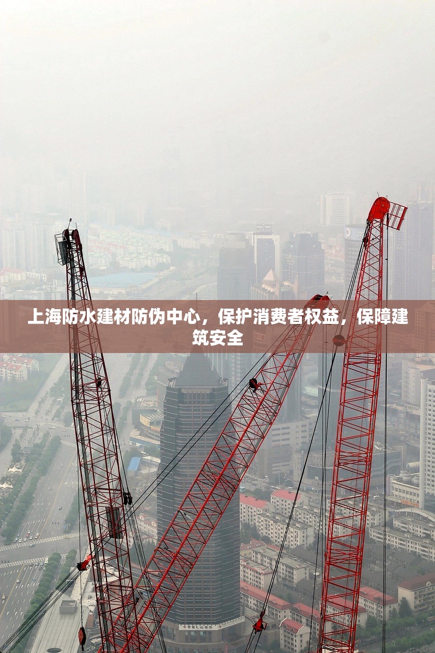 上海防水建材防伪中心，保护消费者权益，保障建筑安全
