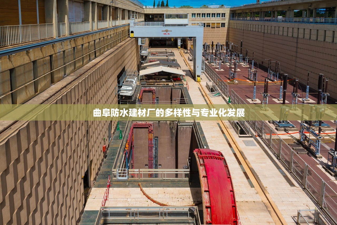 曲阜防水建材厂的多样性与专业化发展
