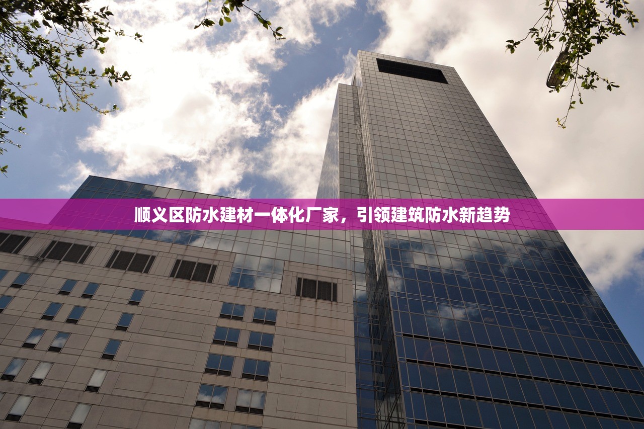 顺义区防水建材一体化厂家，引领建筑防水新趋势