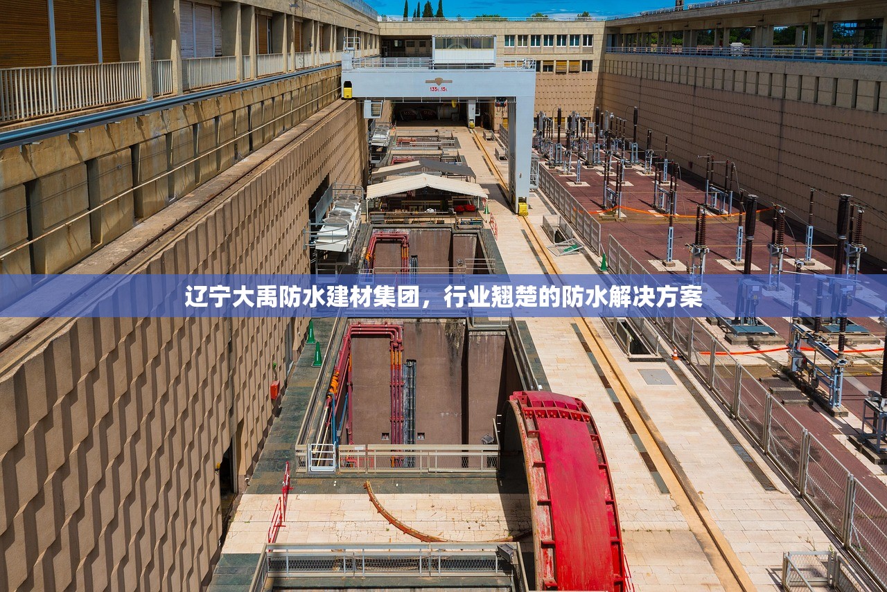 辽宁大禹防水建材集团，行业翘楚的防水解决方案