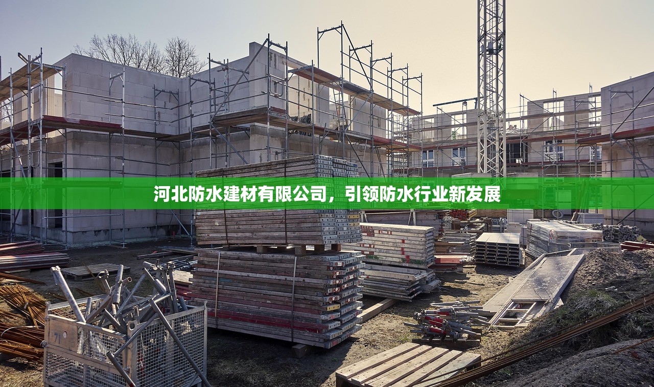 河北防水建材有限公司，引领防水行业新发展