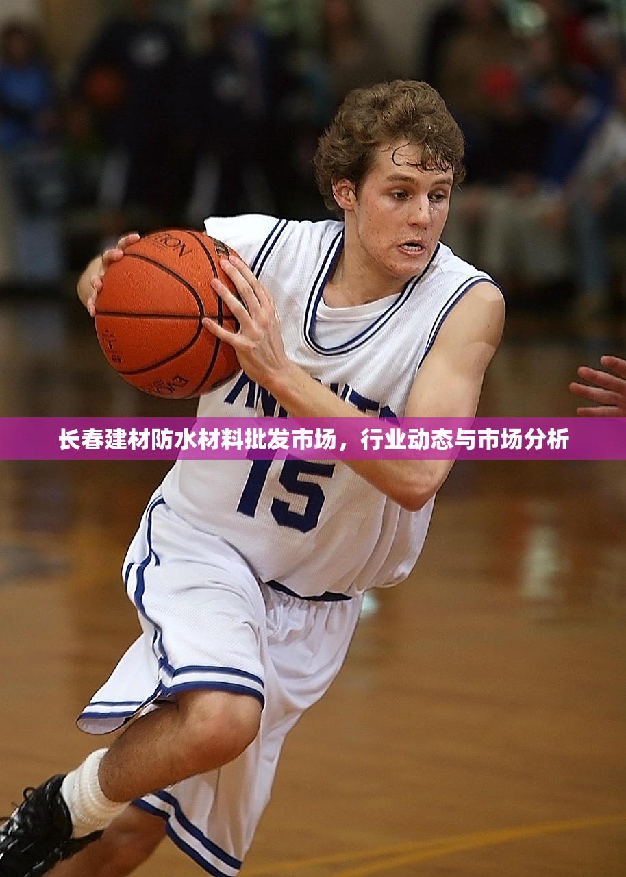 长春建材防水材料批发市场，行业动态与市场分析