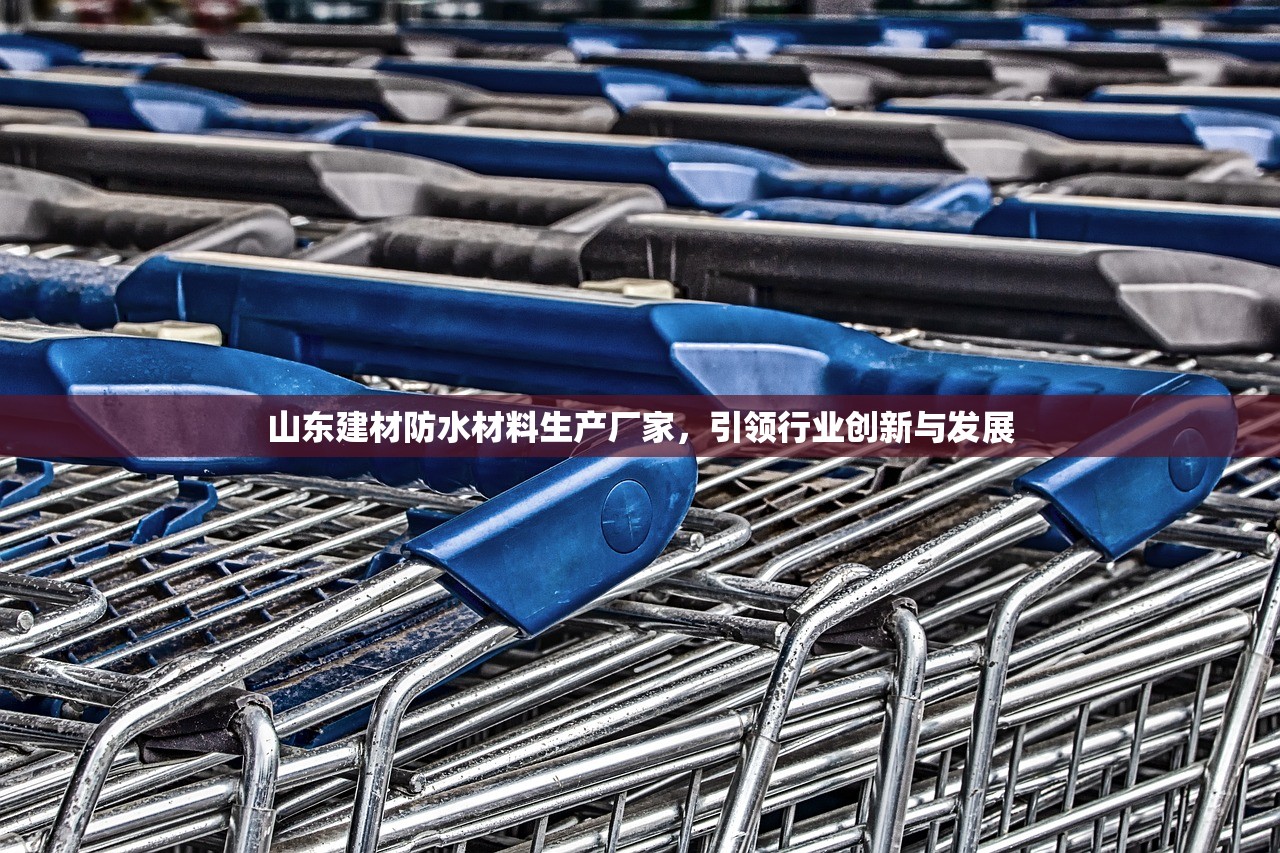 山东建材防水材料生产厂家，引领行业创新与发展