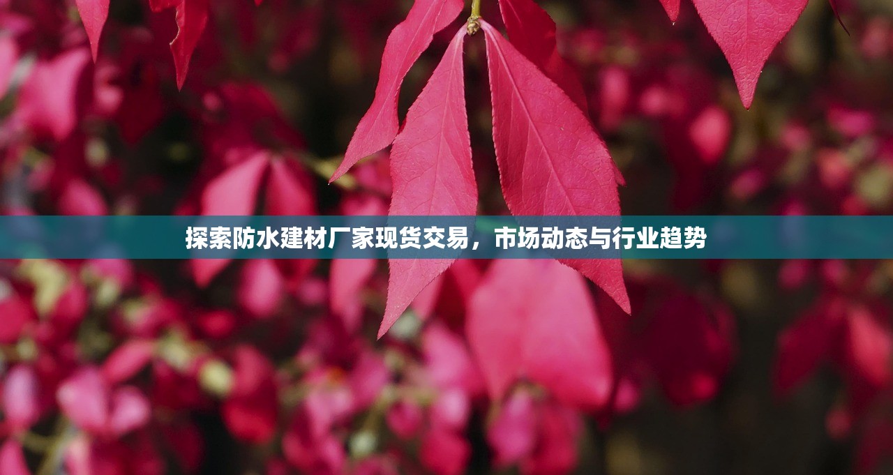 探索防水建材厂家现货交易，市场动态与行业趋势