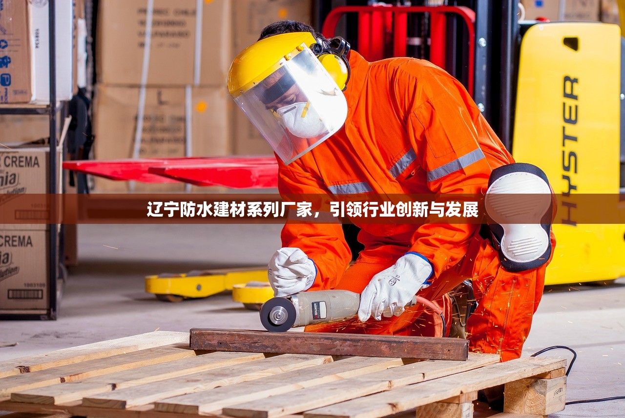 辽宁防水建材系列厂家，引领行业创新与发展