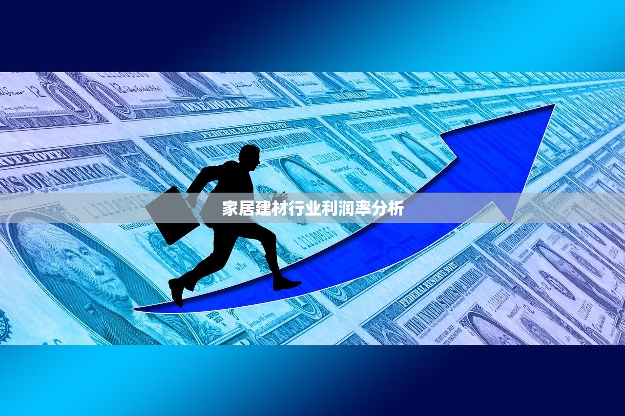 家居建材行业利润率分析