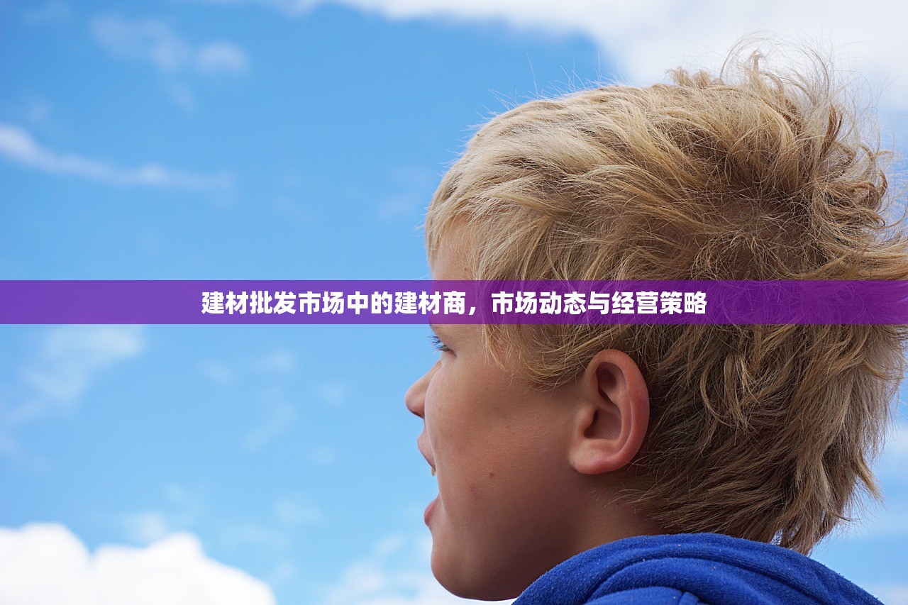 建材批发市场中的建材商，市场动态与经营策略