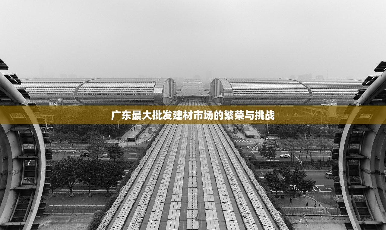 广东最大批发建材市场的繁荣与挑战