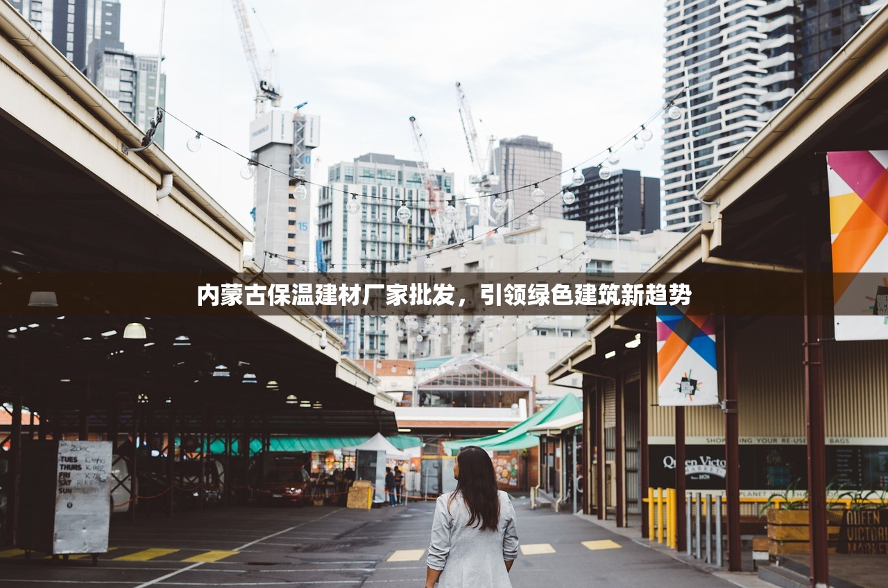 内蒙古保温建材厂家批发，引领绿色建筑新趋势