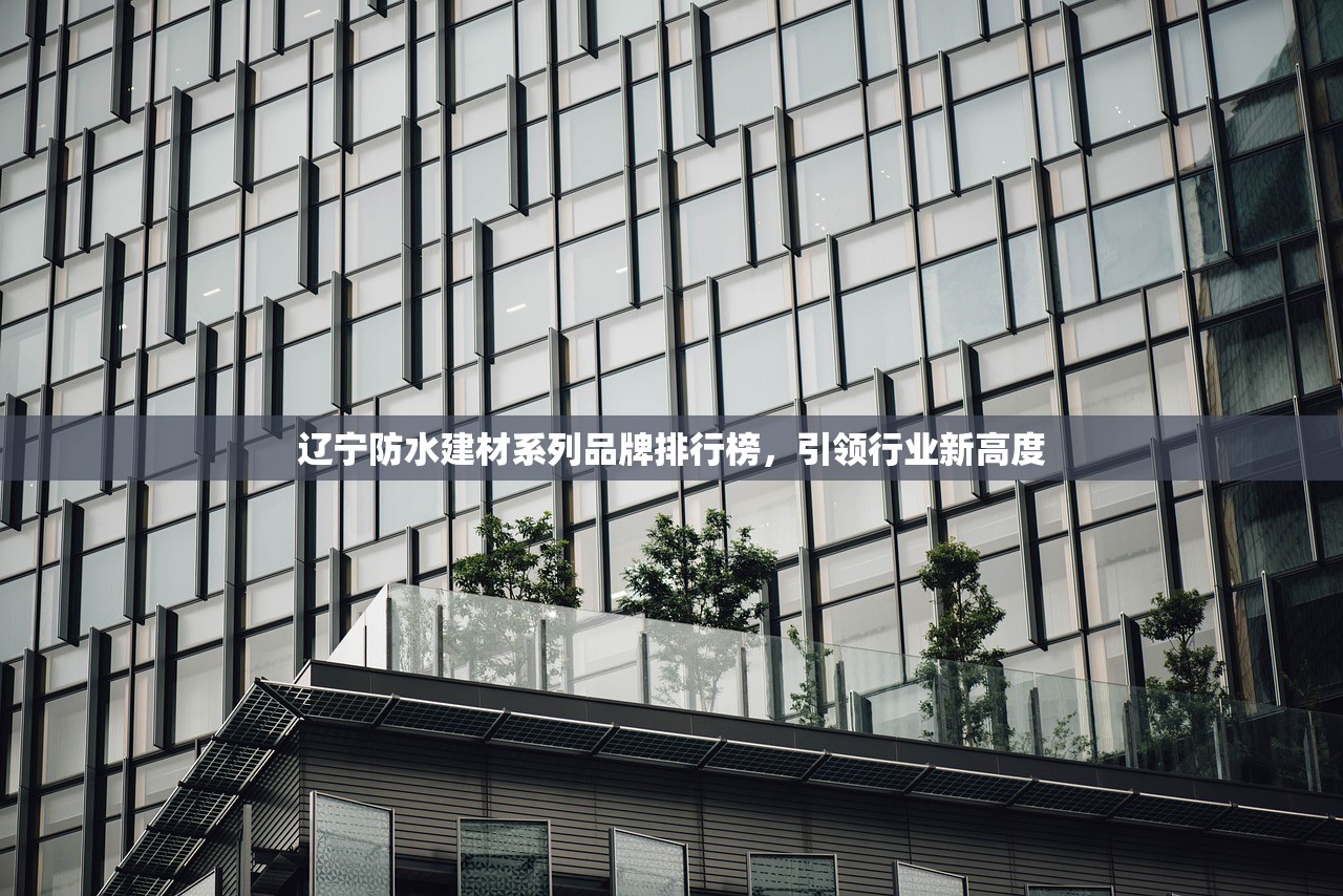 辽宁防水建材系列品牌排行榜，引领行业新高度