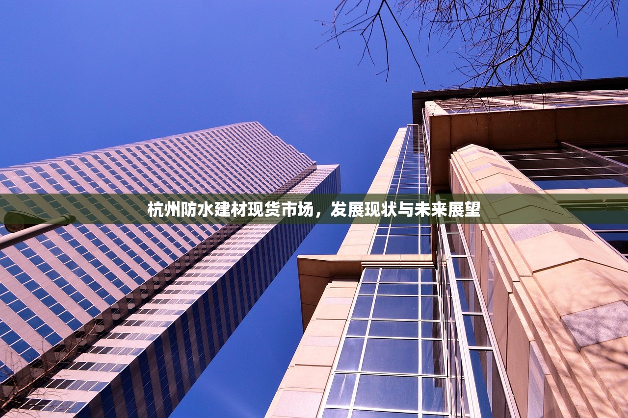 杭州防水建材现货市场，发展现状与未来展望