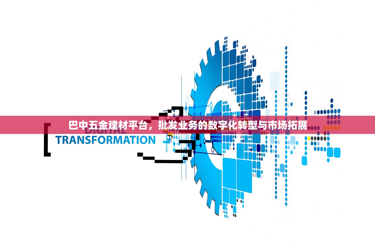 巴中五金建材平台，批发业务的数字化转型与市场拓展