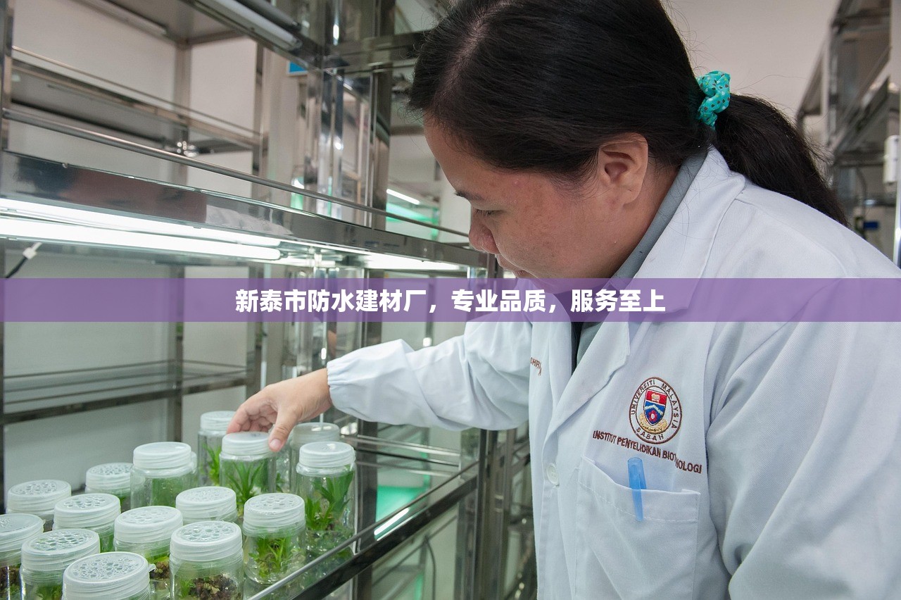 新泰市防水建材厂，专业品质，服务至上