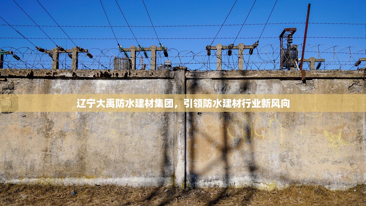 辽宁大禹防水建材集团，引领防水建材行业新风向
