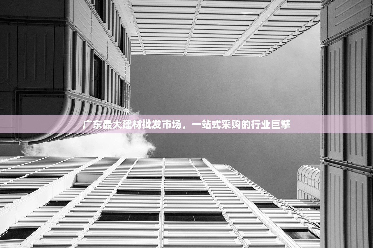 广东最大建材批发市场，一站式采购的行业巨擘