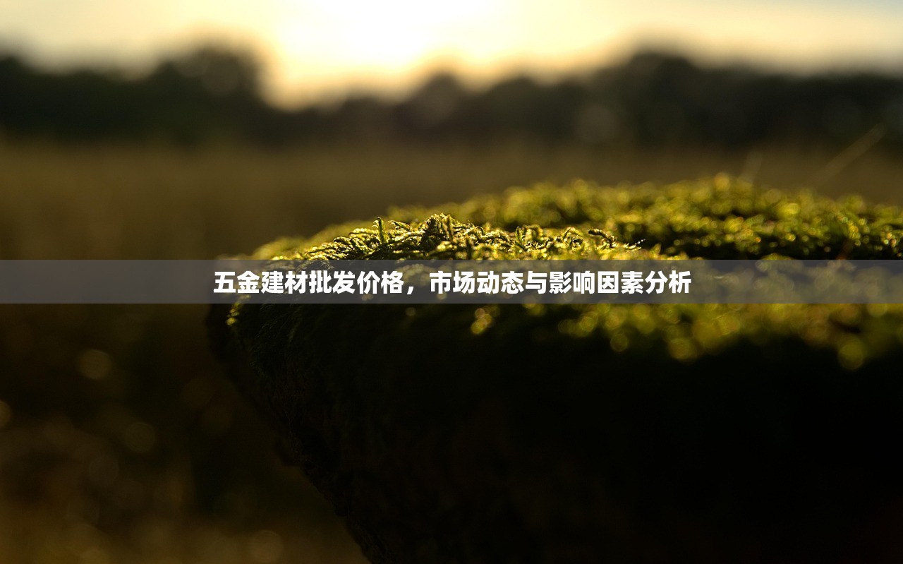 五金建材批发价格，市场动态与影响因素分析