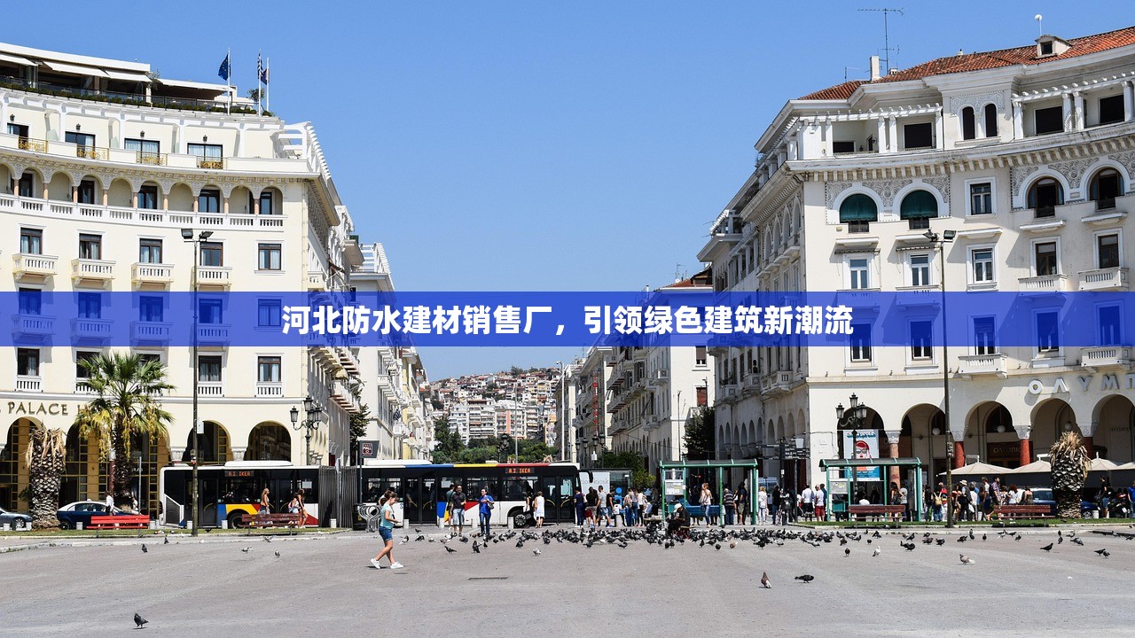 河北防水建材销售厂，引领绿色建筑新潮流