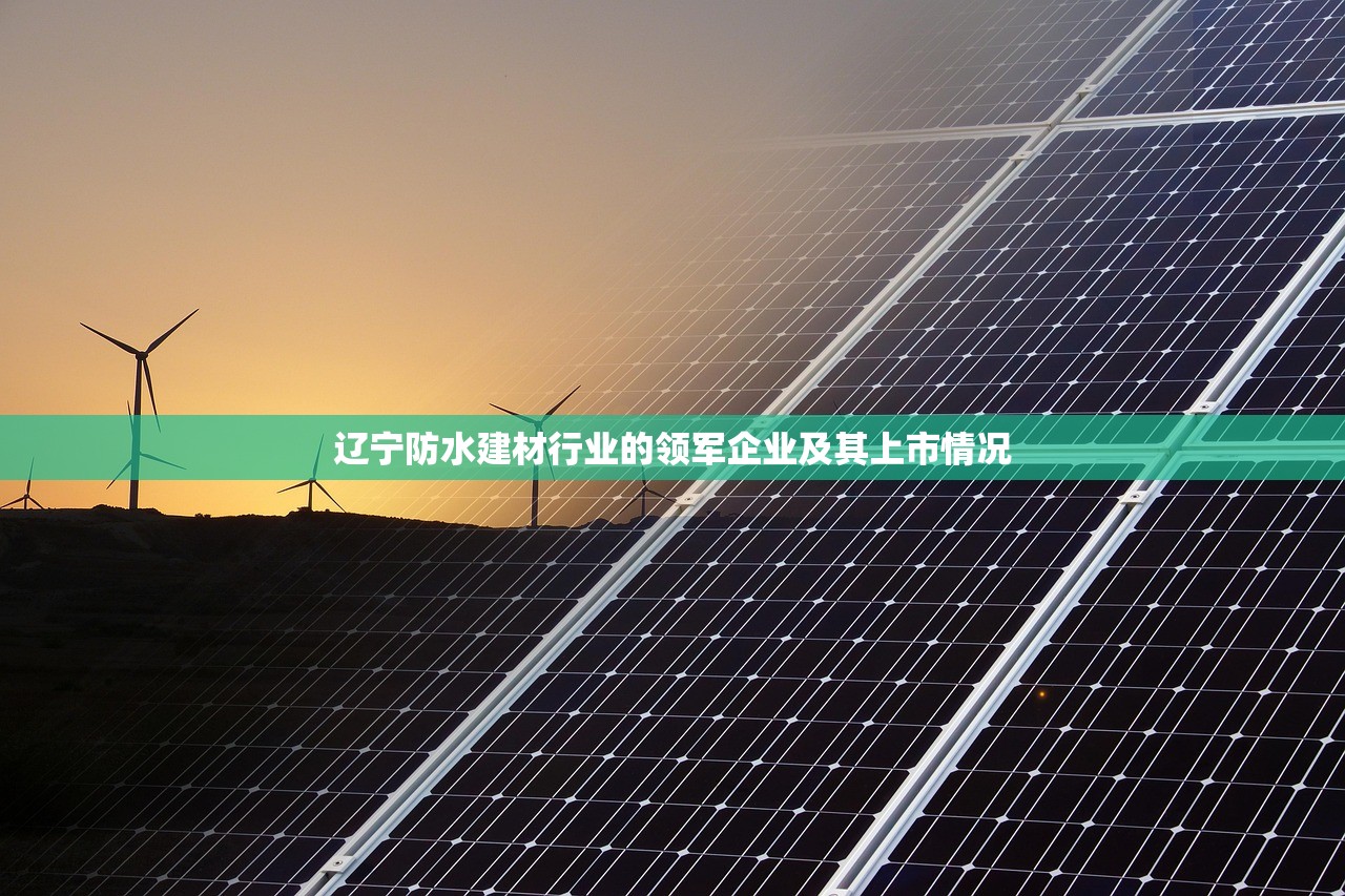 辽宁防水建材行业的领军企业及其上市情况