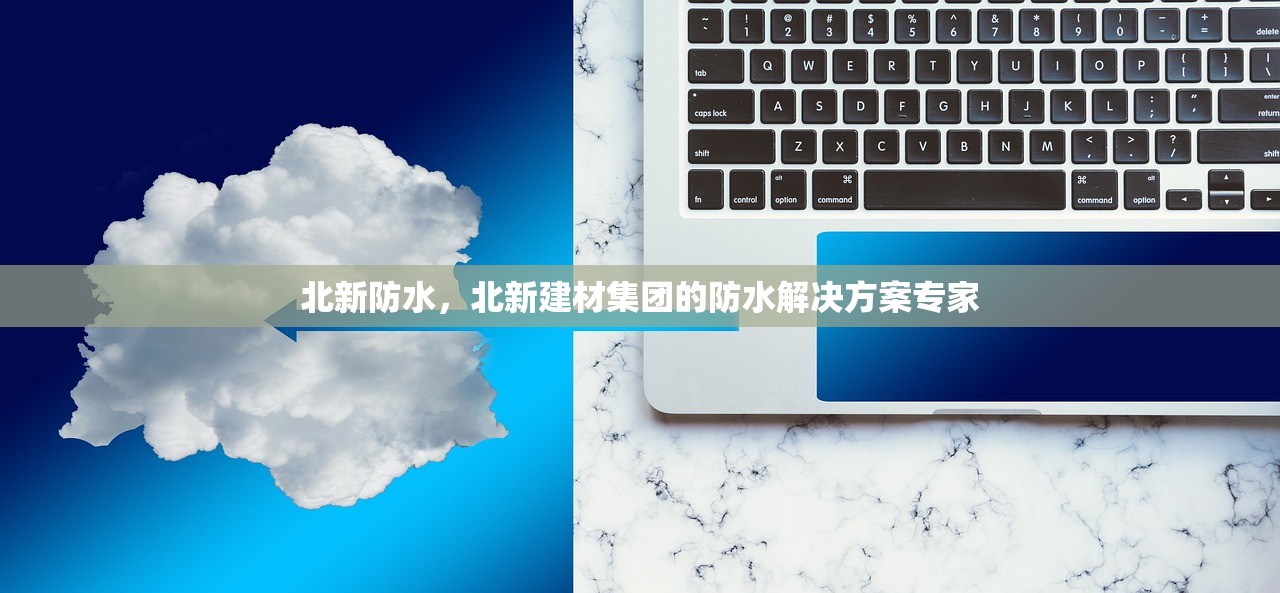 北新防水，北新建材集团的防水解决方案专家