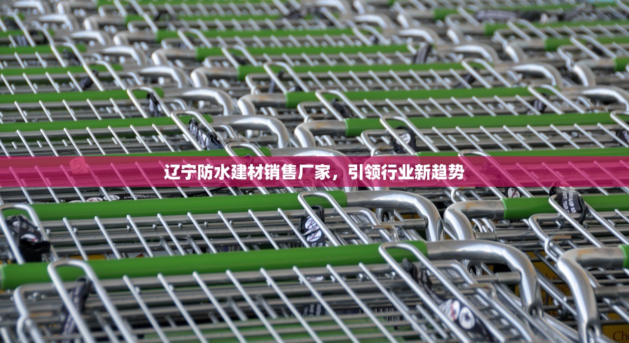 辽宁防水建材销售厂家，引领行业新趋势