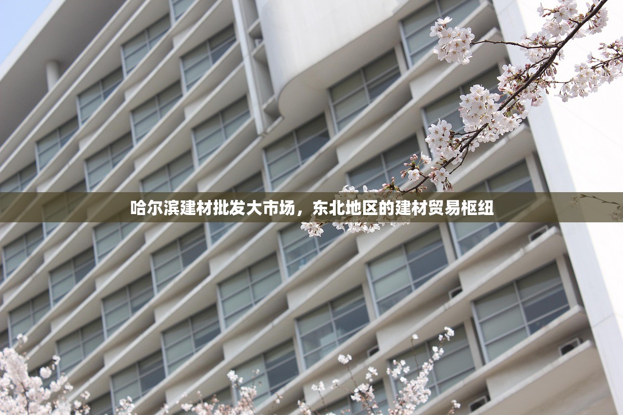 哈尔滨建材批发大市场，东北地区的建材贸易枢纽