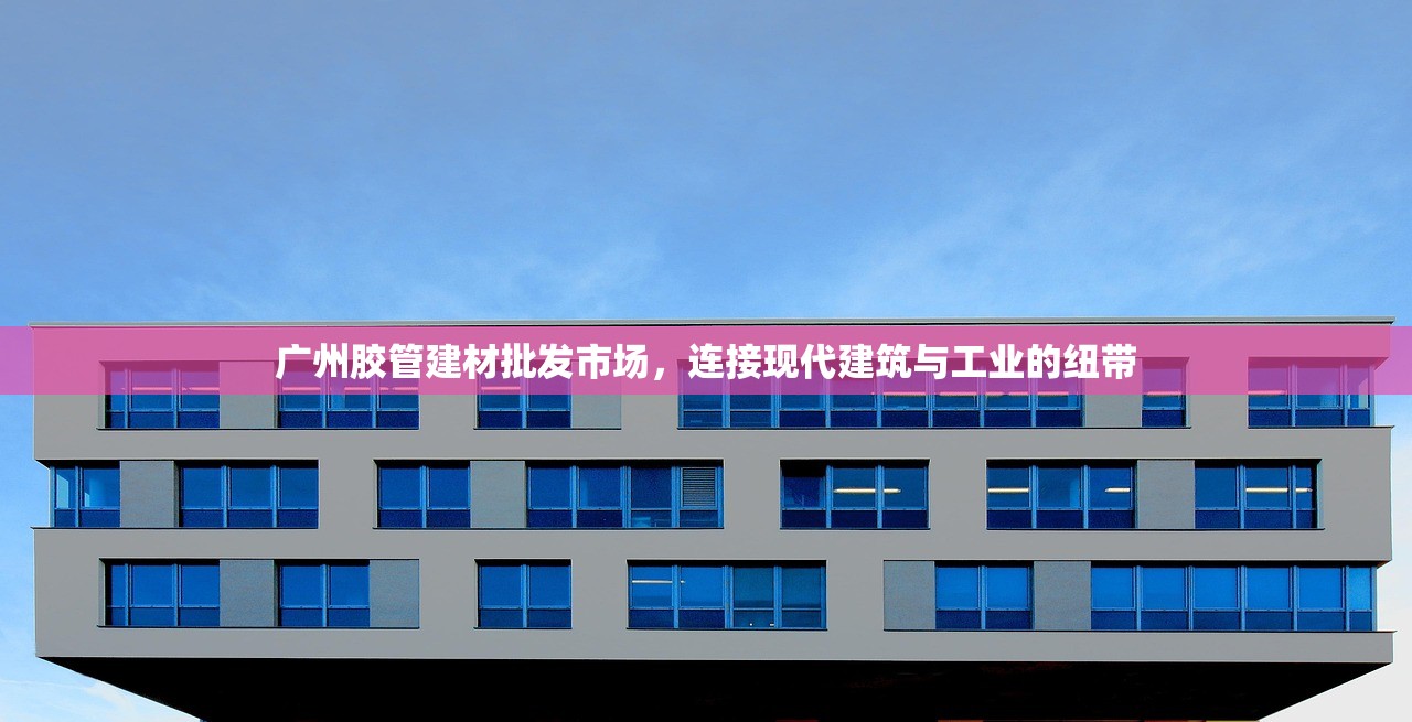 广州胶管建材批发市场，连接现代建筑与工业的纽带