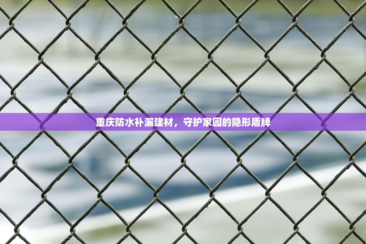重庆防水补漏建材，守护家园的隐形盾牌