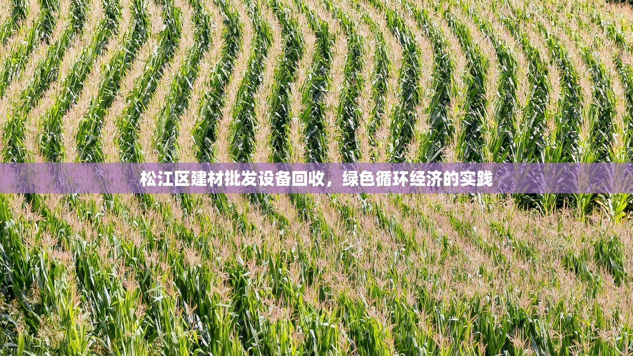 松江区建材批发设备回收，绿色循环经济的实践