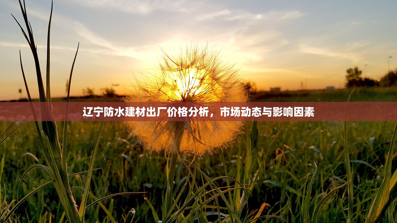 辽宁防水建材出厂价格分析，市场动态与影响因素